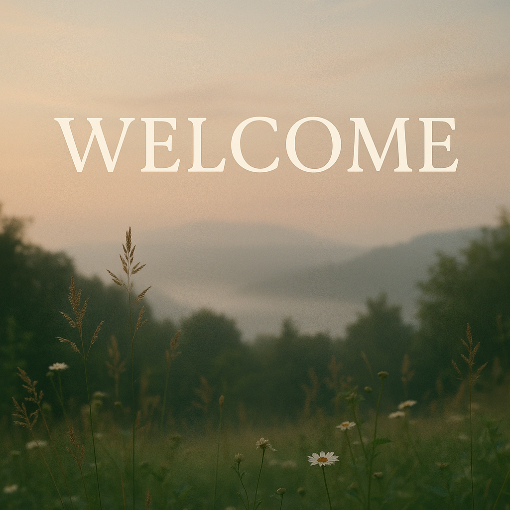 welcome - peaceful daisy field overlooking a lake